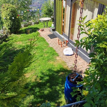 شقة سيون  في Chalet Alpine المظهر الخارجي الصورة